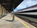 Traffico ferroviario internazionale interrotto per dei sassi sui binari a Preglia