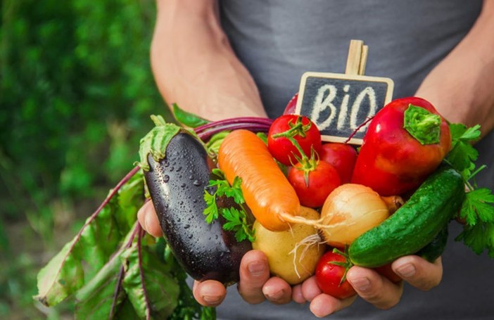 Coldiretti Piemonte lancia l’allarme: “Più trasparenza sul biologico, tutelare le produzioni italiane” Coldiretti Piemonte lancia l’allarme: “Più trasparenza sul biologico, tutelare le produzioni italiane”