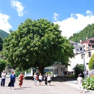 Domenica mostra fotografica, concerto e inaugurazione dello “Schiaccianoci” a Bocodipinta