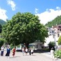 Domenica mostra fotografica, concerto e inaugurazione dello “Schiaccianoci” a Bocodipinta