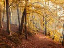 Previsioni per l’autunno: cosa ci aspetta? Le valutazioni di Arpa Piemonte.