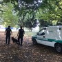 Sicurezza, nasce in Piemonte la prima rete regionale di unità cinofile per la Polizia locale Sicurezza, nasce in Piemonte la prima rete regionale di unità cinofile per la Polizia locale