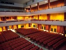 &quot;Il Corso della nostra vita&quot;: al cinema una serata a sostegno dell'associazione Parkinsoniani