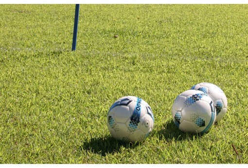Pulcini in campo alla Praudina