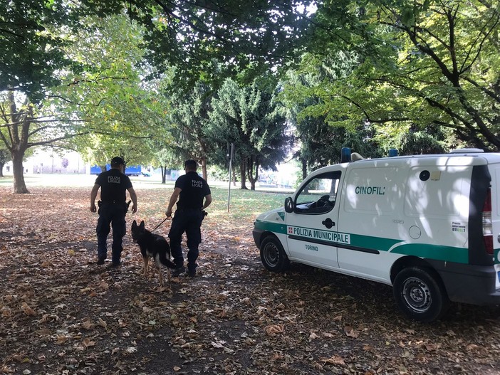 Sicurezza, nasce in Piemonte la prima rete regionale di unità cinofile per la Polizia locale Sicurezza, nasce in Piemonte la prima rete regionale di unità cinofile per la Polizia locale