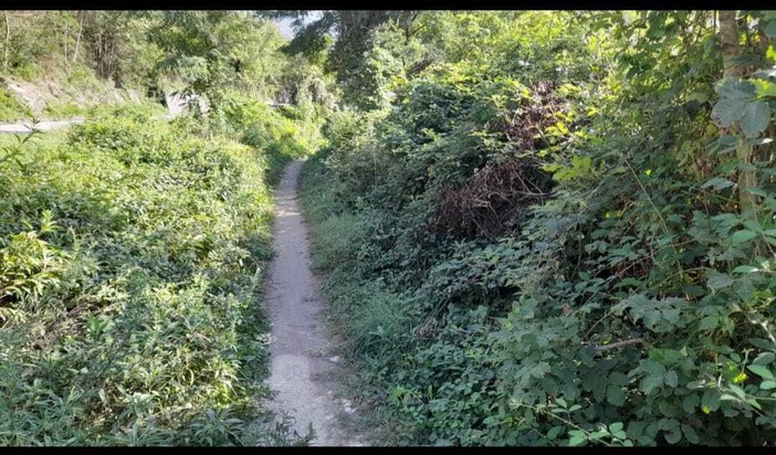 Ciclovia in stato di abbandono nella bassa Ossola
