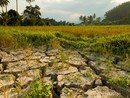 Coldiretti Piemonte, giornata ambiente: attenzione a cambiamenti climatici e consumo di suolo