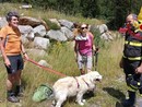 Sfugge ai padroni e precipita in un rio a Macugnaga, golden retriver recuperato dall'elicottero dei Vigili del fuoco