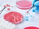 Carne artificiale, Coldiretti: &quot;L'opposizione alla legge va contro la scienza e la salute dei cittadini&quot;
