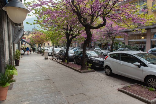 Domodossola, affidata la gestione della sosta a pagamento