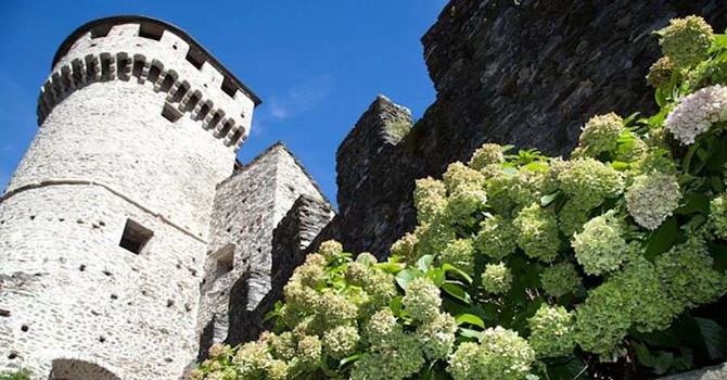 Nuova gestione per il Castello di Vogogna, il sindaco Dotta: "Un'opportunità positiva per il territorio" Nuova gestione per il Castello di Vogogna, il sindaco Dotta: "Un'opportunità positiva per il territorio"