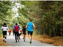 Sgambata della Nazionale Fisky alla vigilia della Maratona Valle Intrasca Sgambata della Nazionale Fisky alla vigilia della Maratona Valle Intrasca