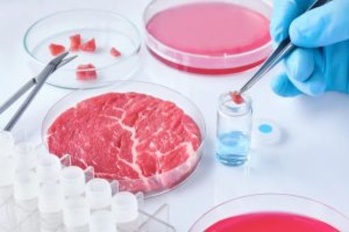Cibo prodotto in laboratorio, Coldiretti Novara-Vco: “Restano dubbi su sicurezza e sostenibilità”
