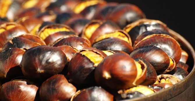 Castagne, il superfood d’autunno: in Piemonte produzione in crescita e qualità ottima Castagne, il superfood d’autunno: in Piemonte produzione in crescita e qualità ottima