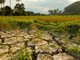Coldiretti Piemonte, giornata ambiente: attenzione a cambiamenti climatici e consumo di suolo