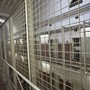 Emergenza caldo nelle carceri piemontesi, la Garante intensifica i controlli: fondi straordinari per ventilatori e frigoriferi Emergenza caldo nelle carceri piemontesi, la Garante intensifica i controlli: fondi straordinari per ventilatori e frigoriferi