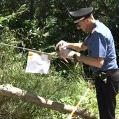 Tragedia della teleferica di Calasca: assolto il concessionario, condanna a otto mesi per Baldacci Tragedia della teleferica di Calasca: assolto il concessionario, condanna a otto mesi per Baldacci