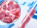 Tre italiani su quattro temono il controllo del cibo da parte delle grandi potenze finanziarie Tre italiani su quattro temono il controllo del cibo da parte delle grandi potenze finanziarie