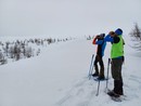Fagiani di monte più numerosi a Devero (115 esemplari) che in Valle Antrona (34)