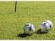 Pulcini in campo alla Praudina