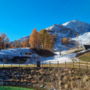 Domobianca365, una giornata per grandi e piccini con la &quot;Festa d'autunno&quot;