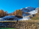 Domobianca365, una giornata per grandi e piccini con la "Festa d'autunno"