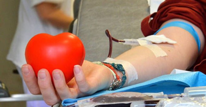 Avis del Verbano Cusio Ossola: previste quasi 9mila donazioni nel 2026