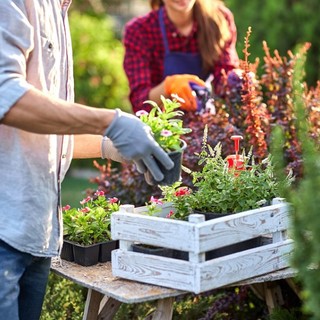 Piante e fiori arrivano dall'estero: l'sos di Coldiretti Piemonte