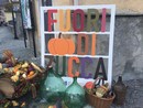 Fuori di Zucca: tutto pronto per l'appuntamento più atteso dell'autunno