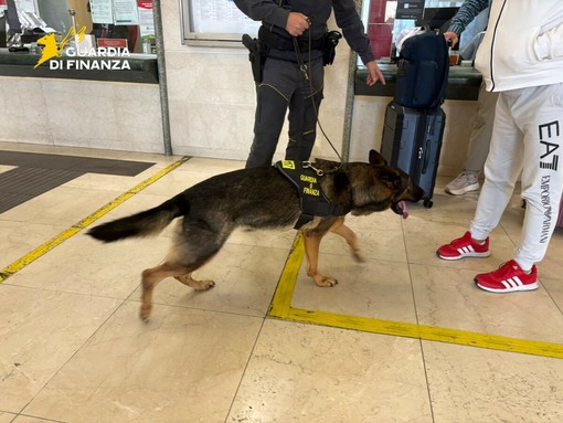 Un chilo di hashish nascosto nel bagaglio: arrestata alla stazione di Domodossola Un chilo di hashish nascosto nel bagaglio: arrestata alla stazione di Domodossola