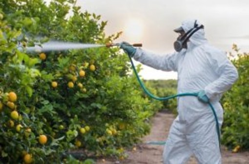 Von der Leyen blocca la norma sui fitorarmaci, Coldiretti: "Serve approccio più realistico"