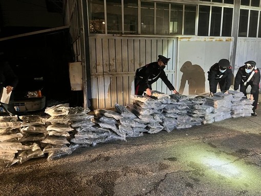 Varese, maxi sequestro di droga: nel rimorchio sotto il trattore spuntano 220 chili di hashish e marijuana. VIDEO