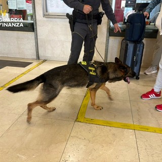 Un chilo di hashish nascosto nel bagaglio: arrestata alla stazione di Domodossola