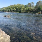 Manutenzione dei corsi d'acqua: dalla regione 559mila euro al Vco Manutenzione dei corsi d'acqua: dalla regione 559mila euro al Vco