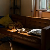 Le strategie per migliorare gli spazi domestici con un budget ridotto