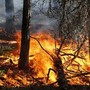 Incendi boschivi, in Piemonte scatta lo stato di massima pericolosità: ecco i divieti da rispettare