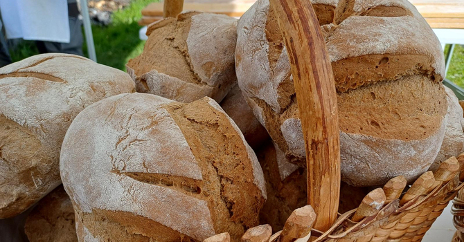 Torna “Lo Pan Ner”: per tutto ottobre si riaccendono gli antichi forni tra Ossola e Verbano