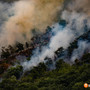 Incendio a Premosello, oltre 800 ettari devastati: parte la richiesta di stato di emergenza