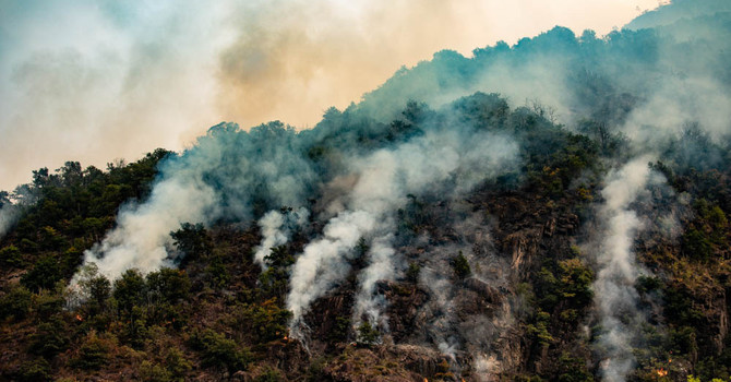 Premosello, la minoranza dopo l'incendio: "Pronti a collaborare per il post-emergenza"