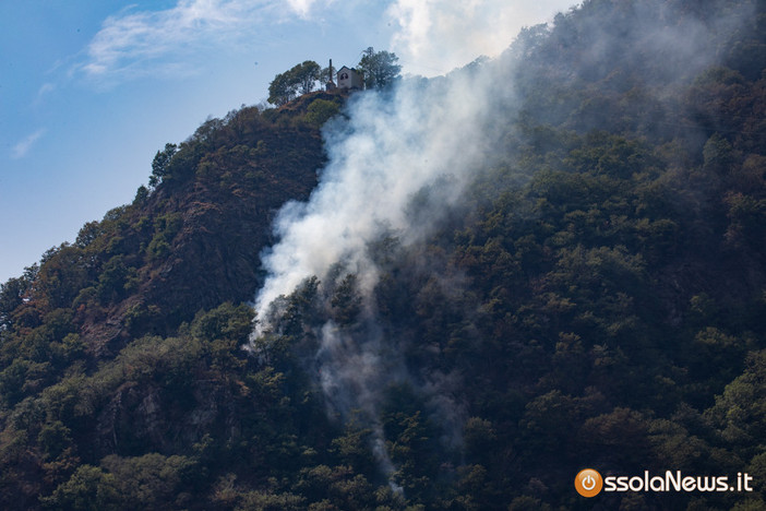 Incendi nel Vco, il M5S propone sensori nei boschi e più manutenzione
