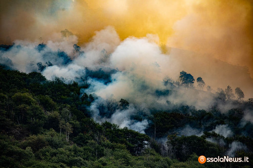 Premosello Chiovenda ringrazia chi ha affrontato l'emergenza incendio: "La nostra comunità ha mostrato il suo volto migliore" Premosello Chiovenda ringrazia chi ha affrontato l'emergenza incendio: "La nostra comunità ha mostrato il suo volto migliore"