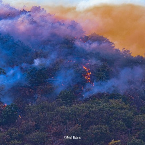 Post incendi in Ossola, lunedì Enrico Borghi incontra i sindaci dei comuni colpiti Post incendi in Ossola, lunedì Enrico Borghi incontra i sindaci dei comuni colpiti