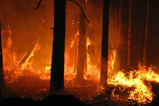 Il Piemonte da due mesi combatte contro gli incendi boschivi Il Piemonte da due mesi combatte contro gli incendi boschivi
