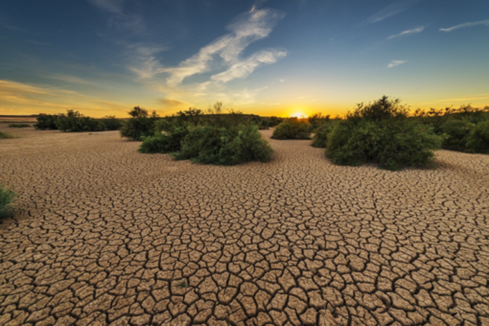 Caldo estremo e siccità mettono a dura prova l’agricoltura europea Caldo estremo e siccità mettono a dura prova l’agricoltura europea