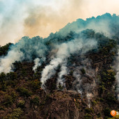 Premosello, la minoranza dopo l'incendio: "Pronti a collaborare per il post-emergenza" Premosello, la minoranza dopo l'incendio: "Pronti a collaborare per il post-emergenza"