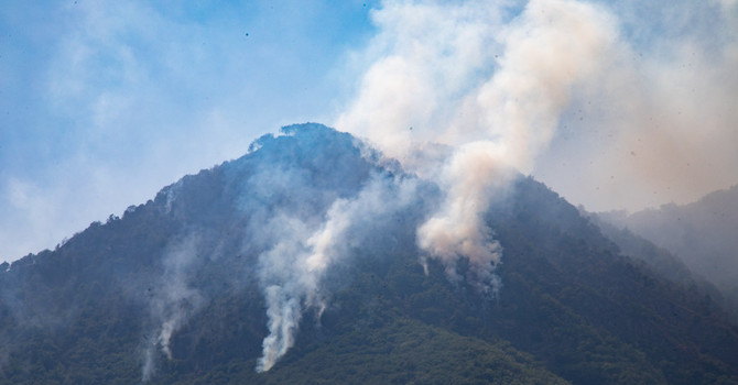 Incendi, Noi Moderati: "Nel Vco serve una montagna curata e protetta" Incendi, Noi Moderati: "Nel Vco serve una montagna curata e protetta"