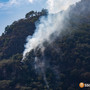 Incendi nel Vco, il M5S propone sensori nei boschi e più manutenzione Incendi nel Vco, il M5S propone sensori nei boschi e più manutenzione