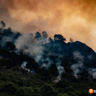 Incendi in Piemonte, Uncem: "Non solo una crisi, una tragedia climatica" Incendi in Piemonte, Uncem: "Non solo una crisi, una tragedia climatica"
