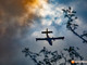 Incendi nel Vco, situazione in miglioramento ma resta alta l'attenzione: ancora al lavoro Canadair ed elicottero a Premosello