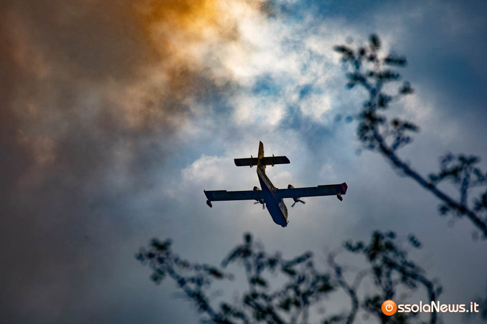 Incendi nel Vco, situazione in miglioramento ma resta alta l'attenzione: ancora al lavoro Canadair ed elicottero a Premosello Incendi nel Vco, situazione in miglioramento ma resta alta l'attenzione: ancora al lavoro Canadair ed elicottero a Premosello